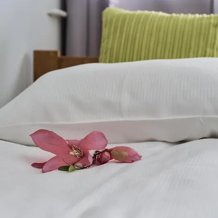 Apartment Wyszynskiego With Air Conditioning And Free Parking By Renters Wroclaw